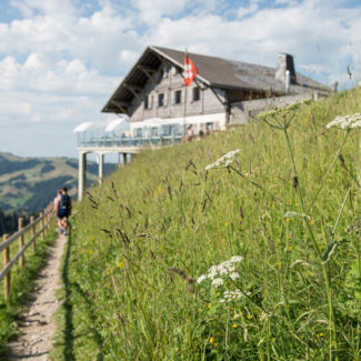 Vue du restaurant Les Dents-Vertes à Charmey