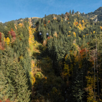charmey automne