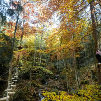 accrobranche automne